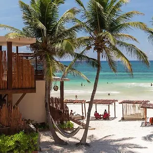 https://la-zebra-a-colibri-boutique-hotel.allrivieramayahotels.com