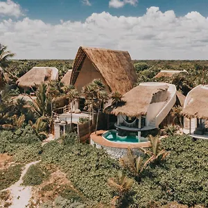 https://papaya-playa.allrivieramayahotels.com